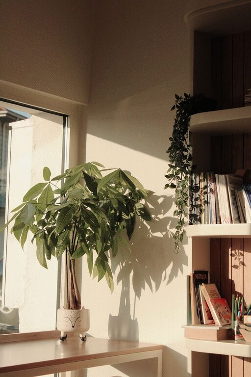 Tips for Creating a Relaxing Reading Nook in Your Home